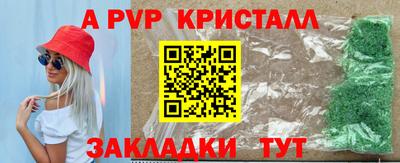 прущие грибы Тверь