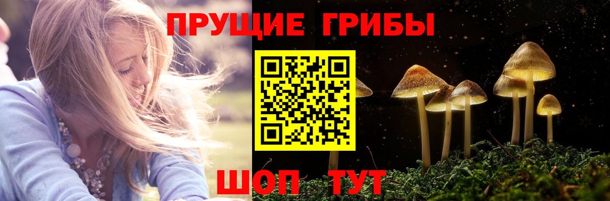 Галлюциногенные грибы MAGIC MUSHROOMS Павлово